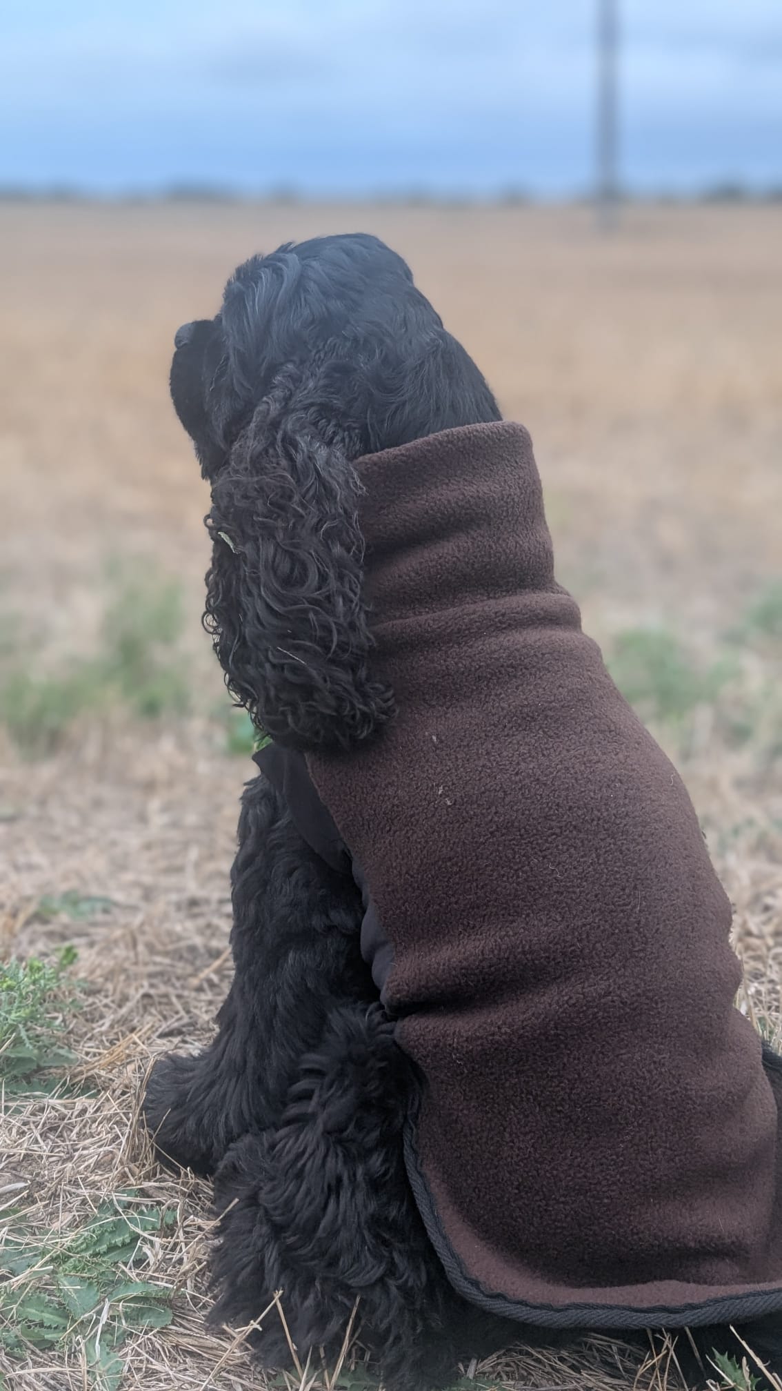 Custom Stretch & Snug Fleece