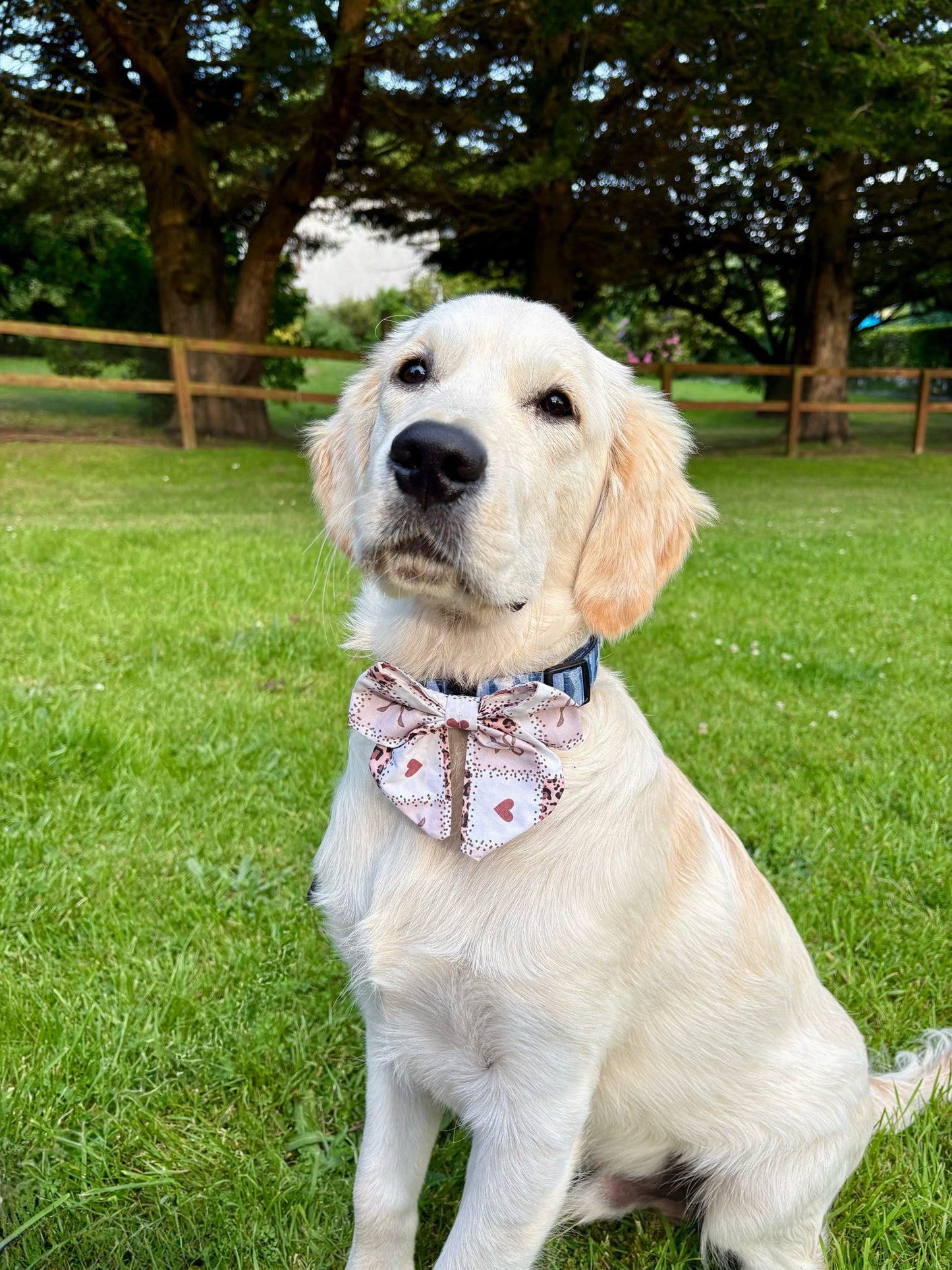 Love Me Wild