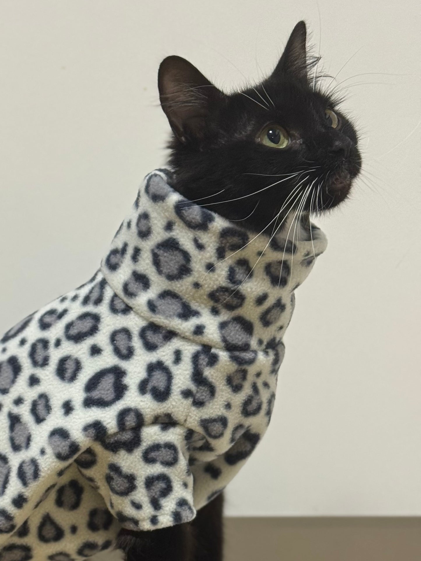 Custom Steel Cheetah Small Breed Fleece