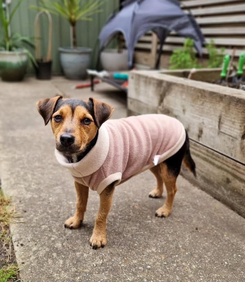 Custom Two Tone Small Breed Fleece