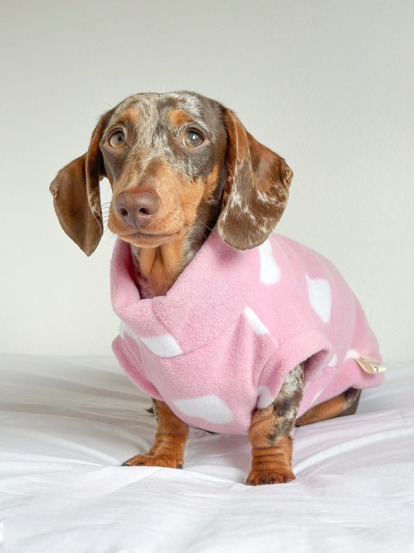 Love Hearts Crewneck Fleece (Daxie/Small Breed)