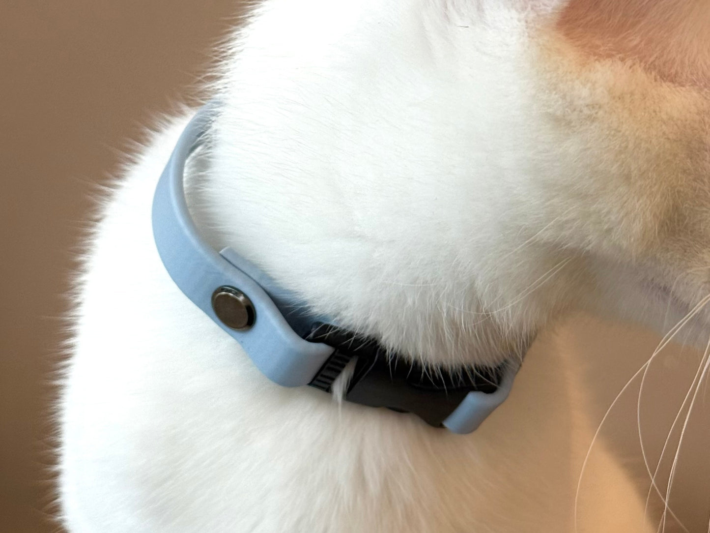 12mm Puppy/Kitten Collar (Quick Release)