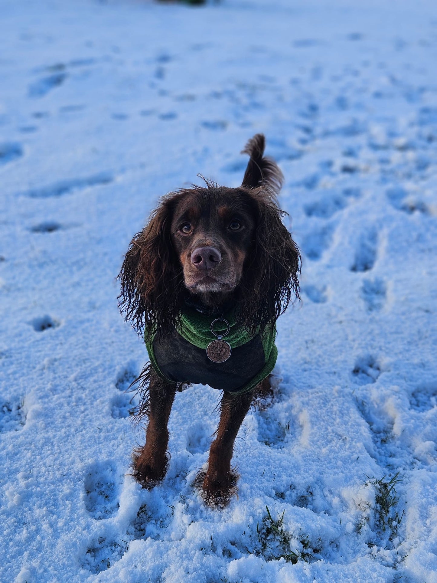 Custom Stretch & Snug Fleece