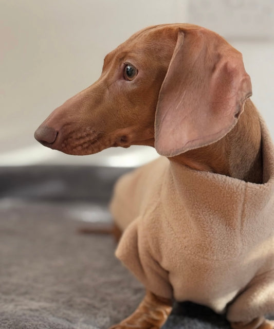 Custom Small Breed Fleece