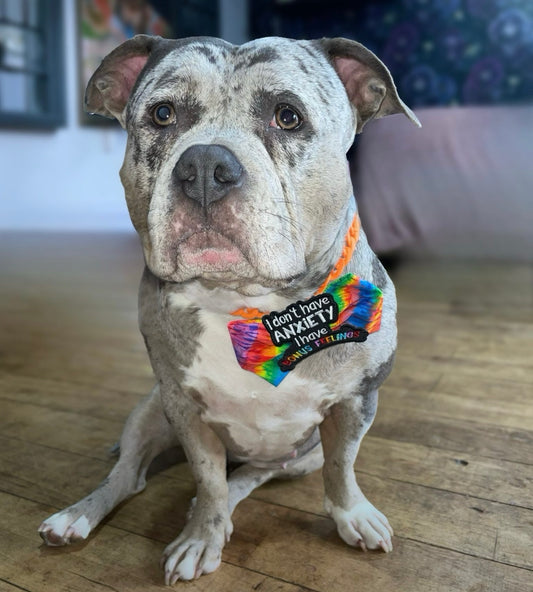 Anxiety - Bonus Feelings