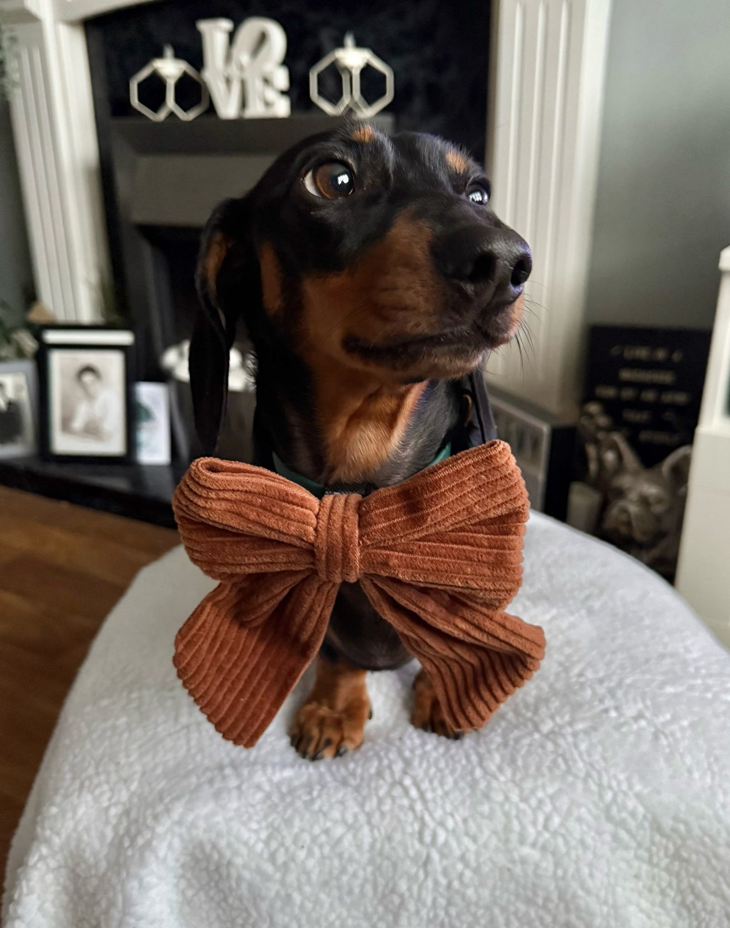 Brown Corduroy