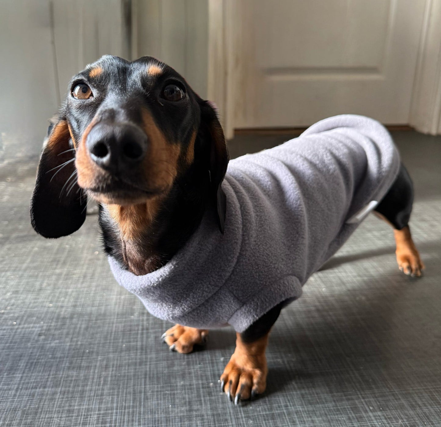 Custom Small Breed Fleece