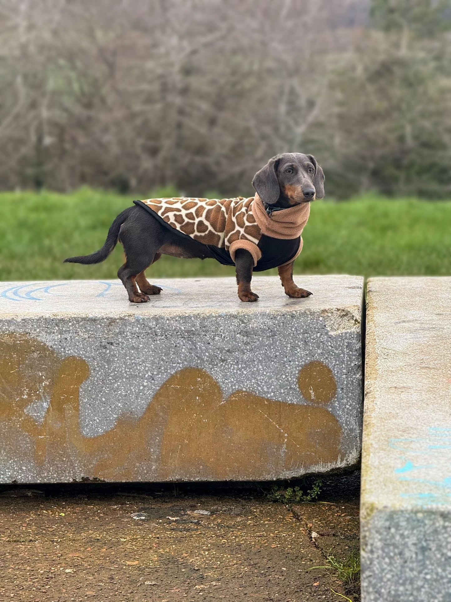 Custom Stretch & Snug Giraffe Fleece