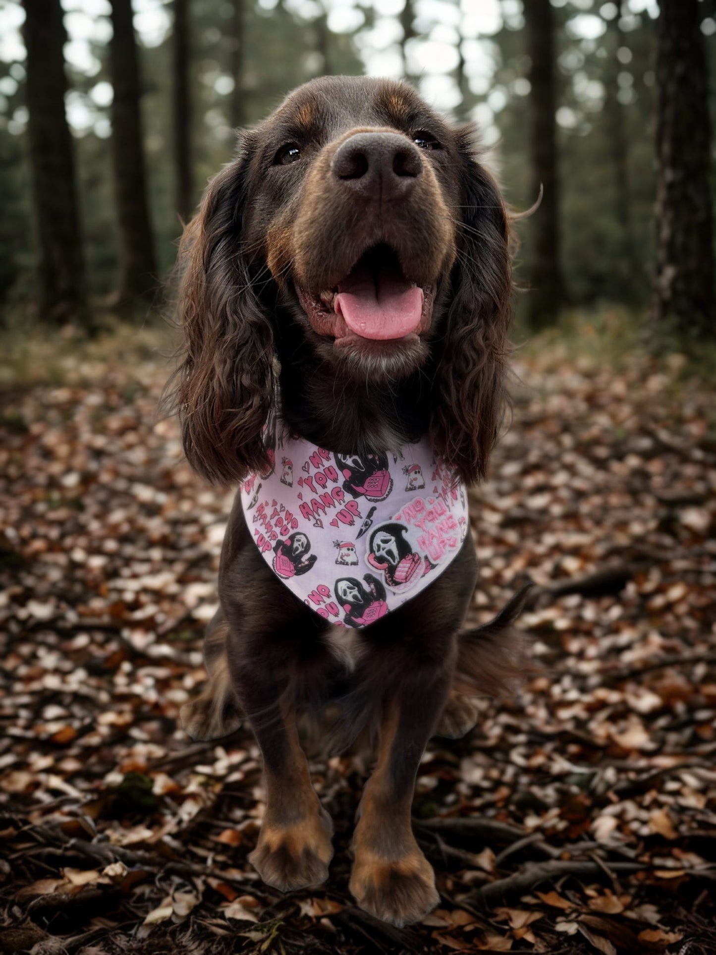 You’ve Been Ghosted NO PATCHES