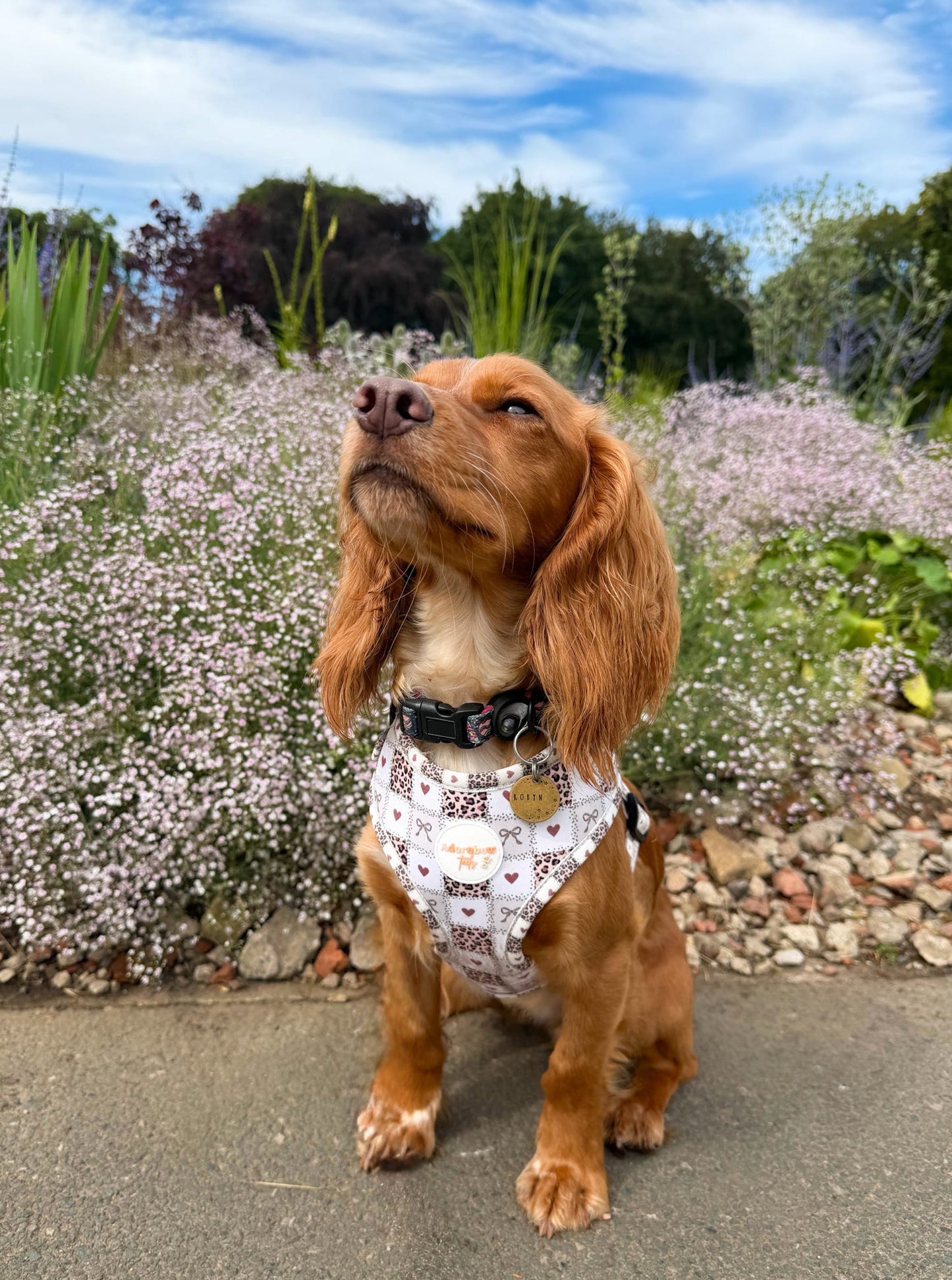 Love Me Wild Adjustable Harness