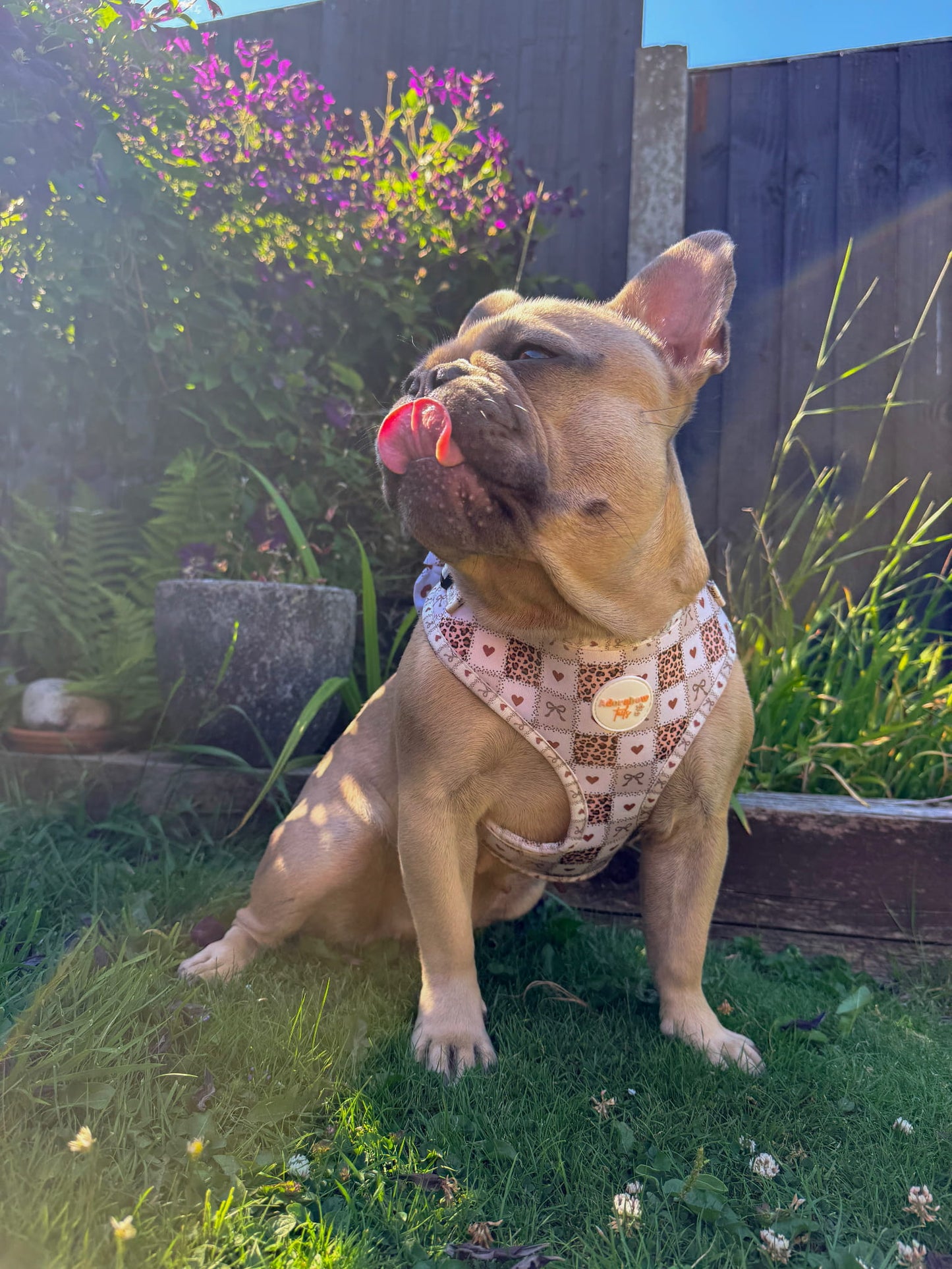 Love Me Wild Adjustable Harness