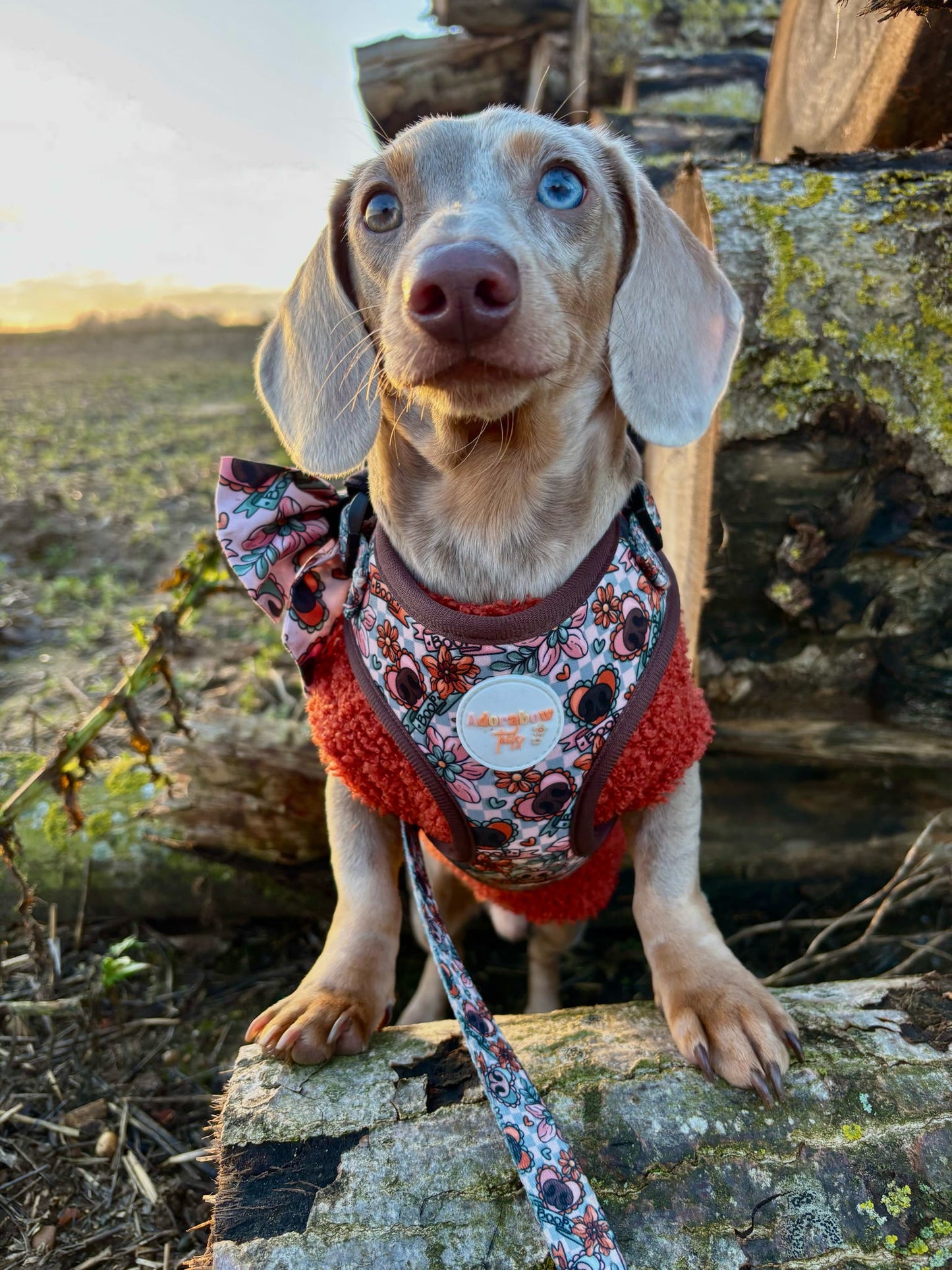 Boops & Blooms Adjustable Harness