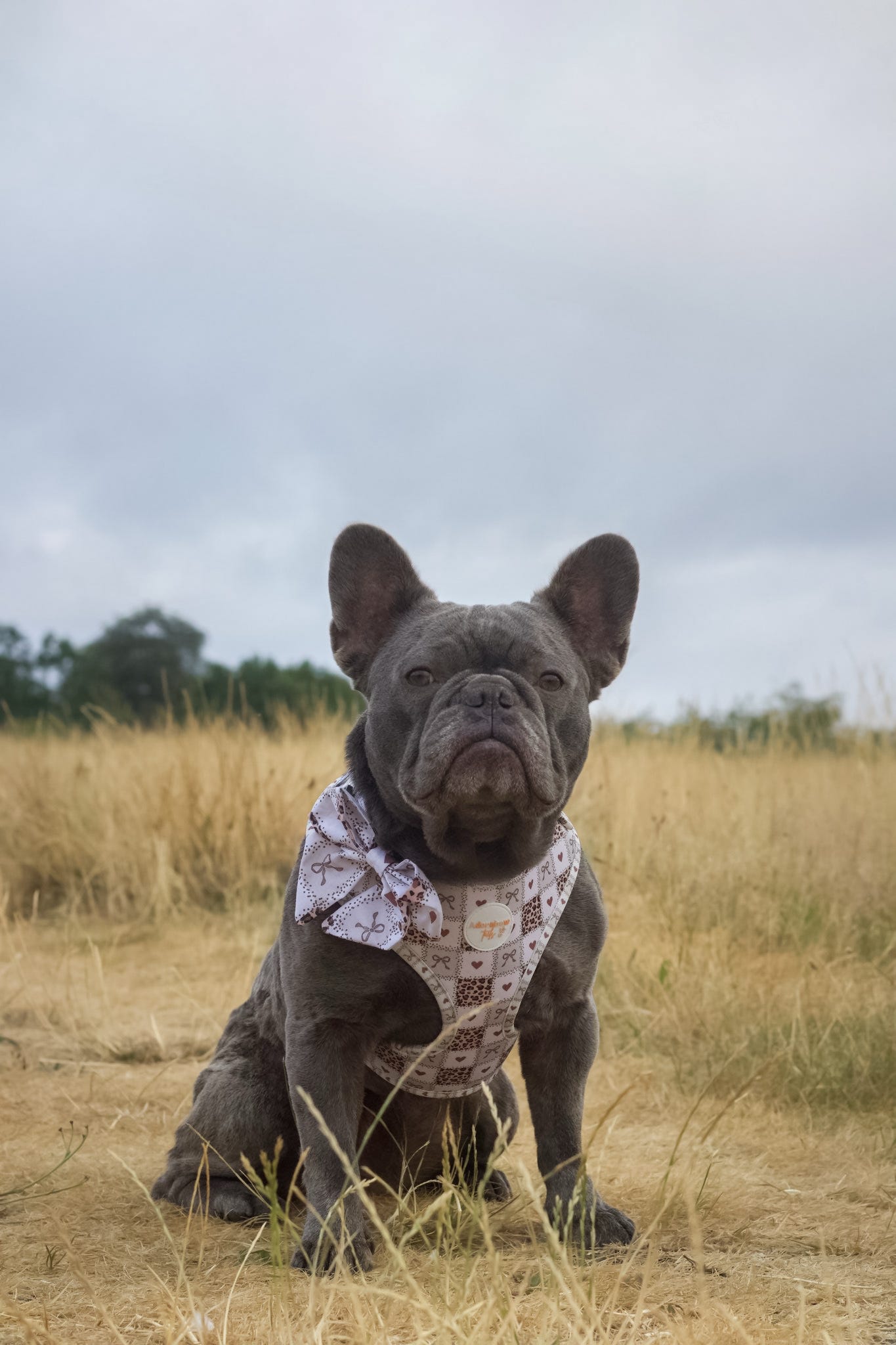 Love Me Wild Adjustable Harness