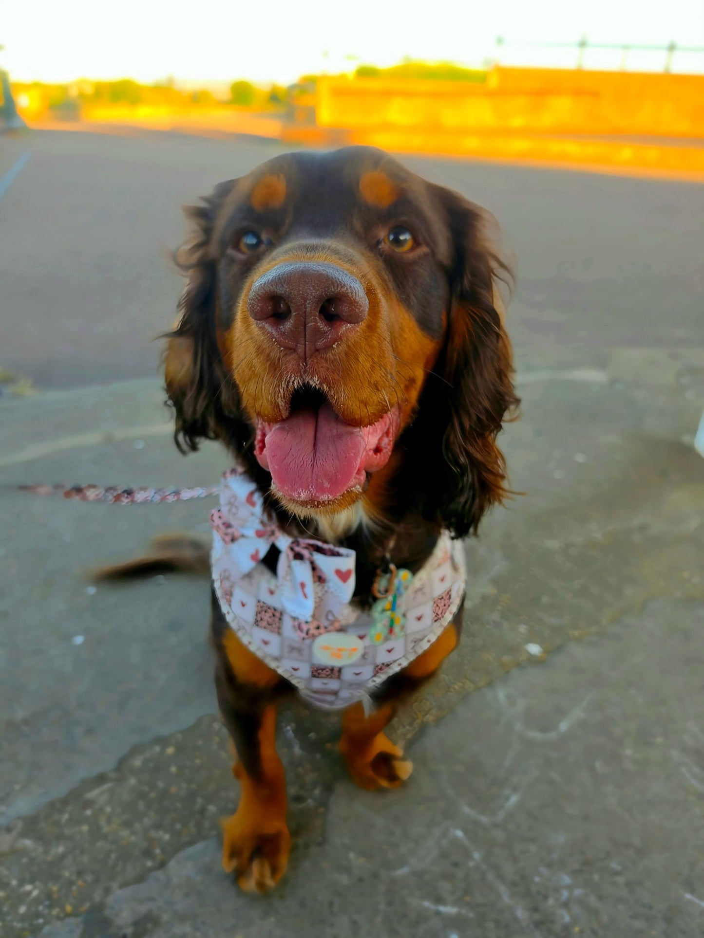 Love Me Wild Adjustable Harness