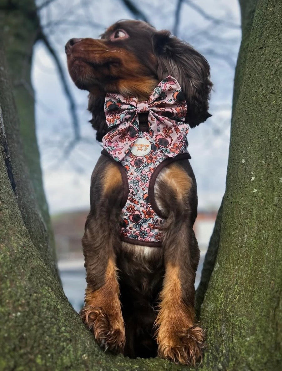 Boops & Blooms Adjustable Harness