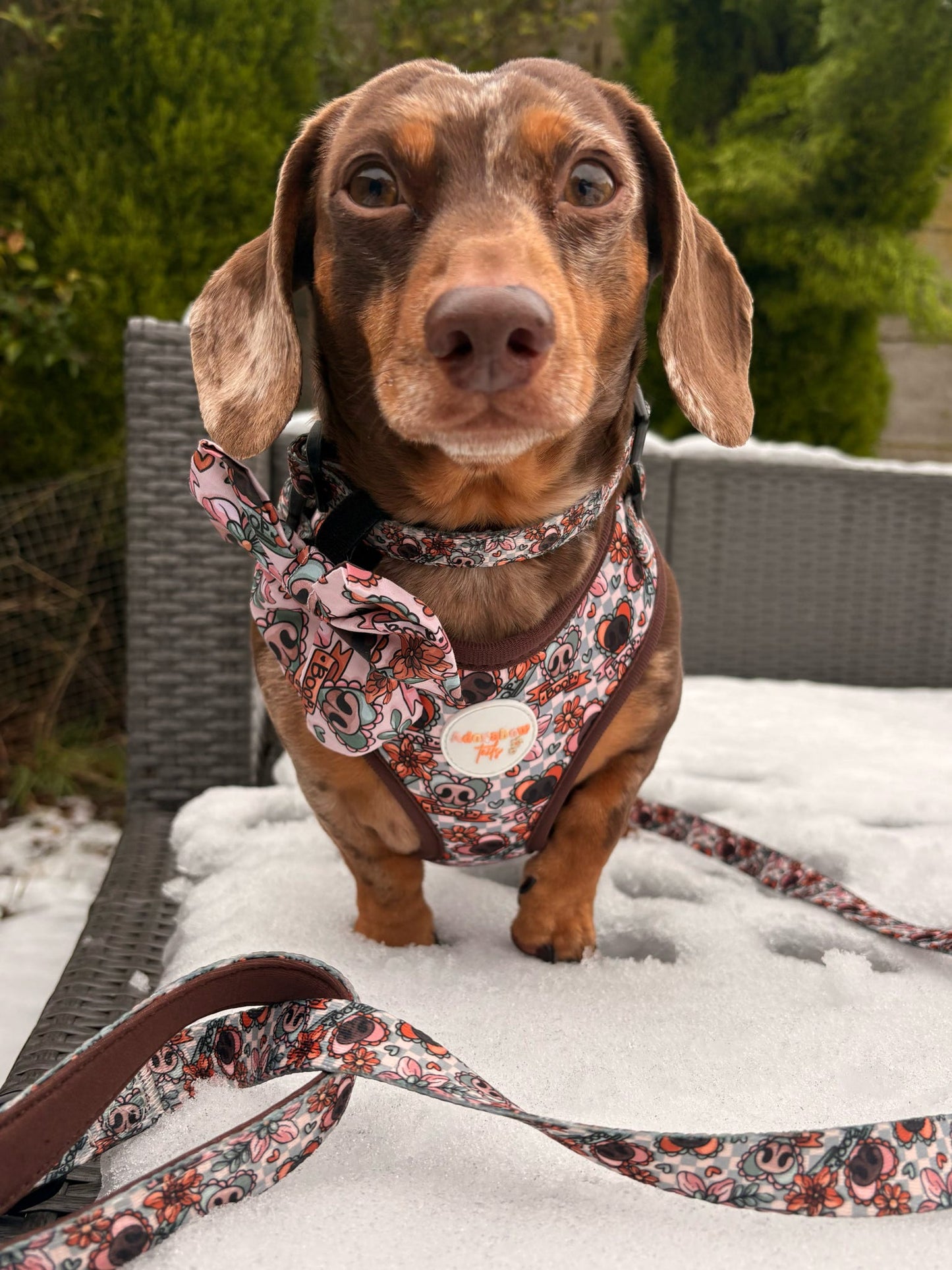 Boops & Blooms Adjustable Harness