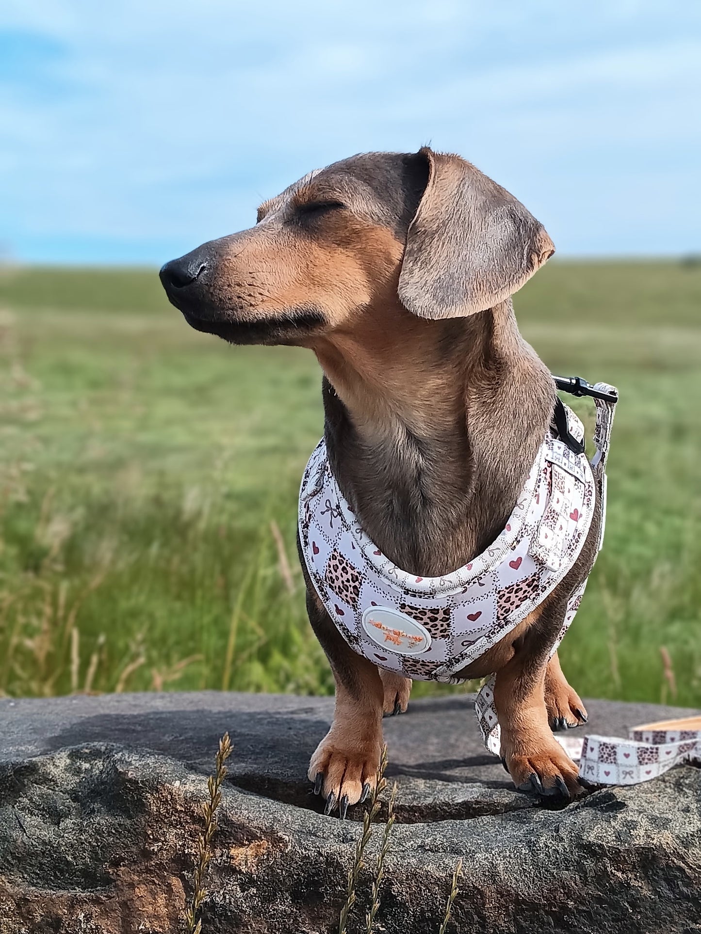 Love Me Wild Adjustable Harness