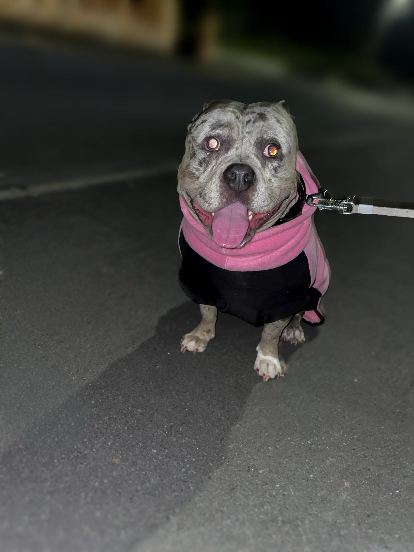 Custom Stretch & Snug Fleece