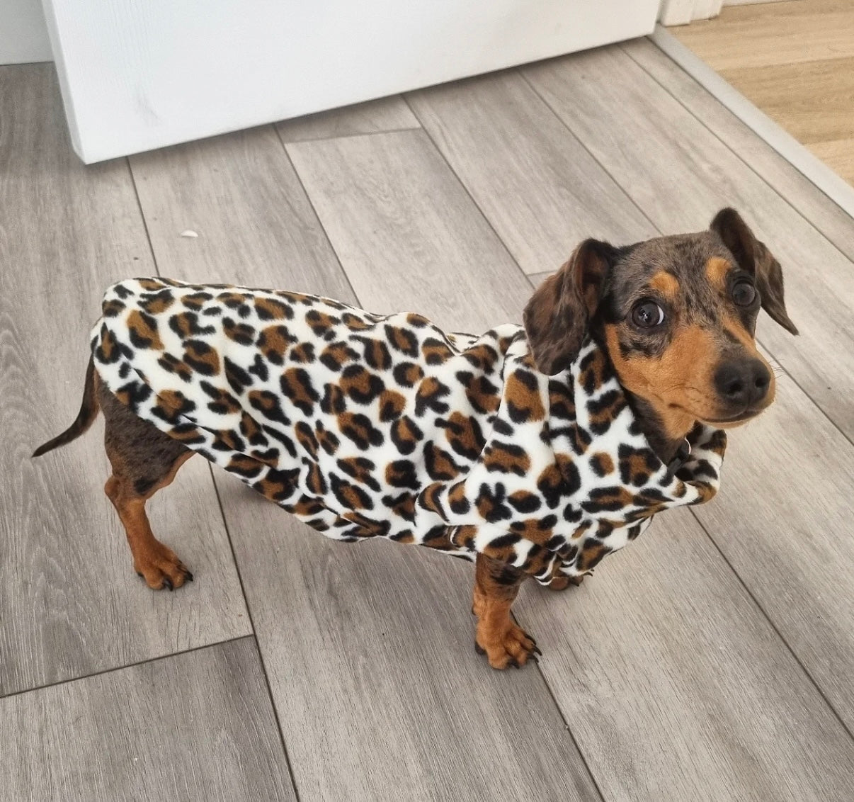 Custom Leopard Small Breed Fleece