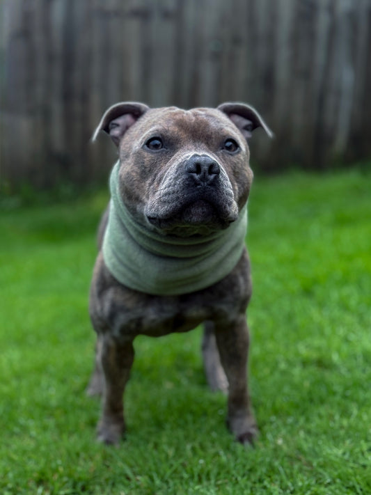 Custom Plain Colour Snood