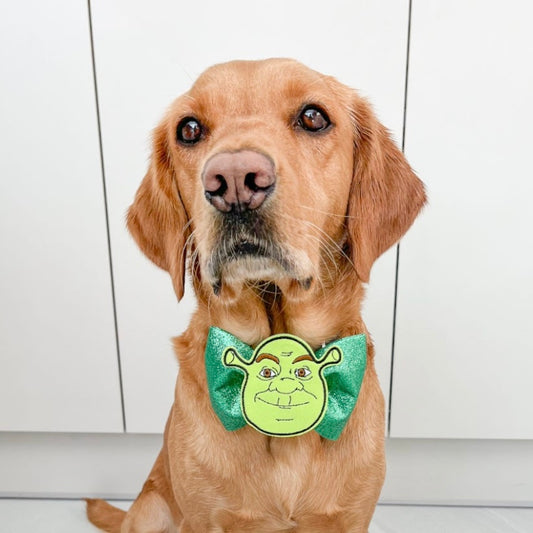 GLITTER SWAMP MONSTER