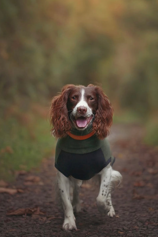 Custom Stretch & Snug Fleece