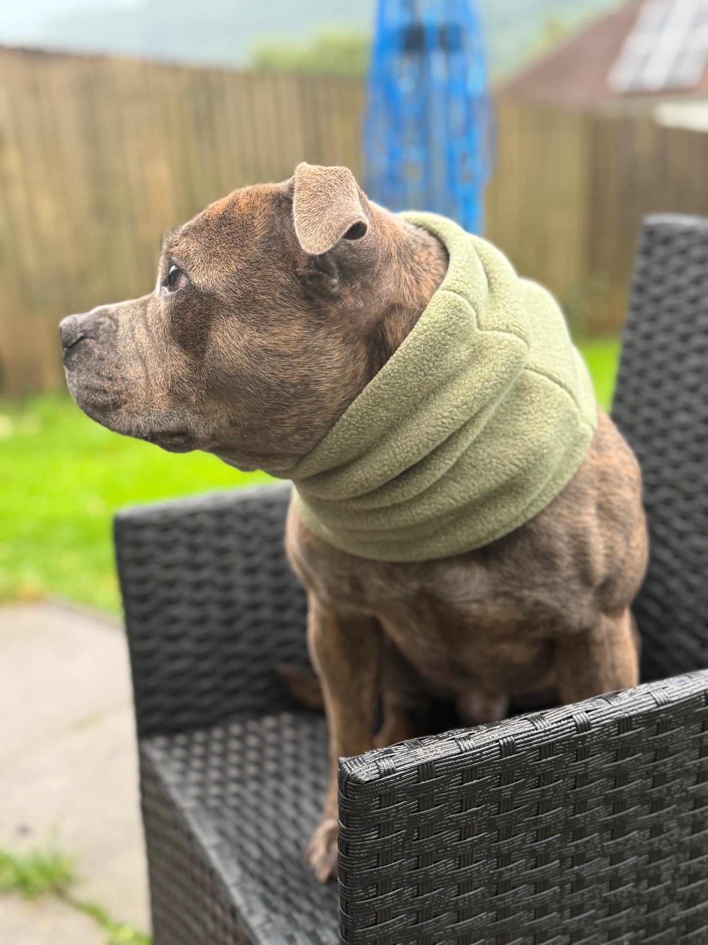 Custom Plain Colour Snood