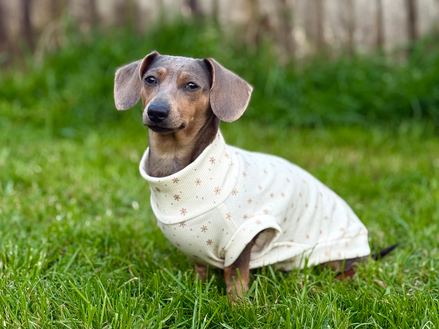Small Breed Starflower Jersey Tee