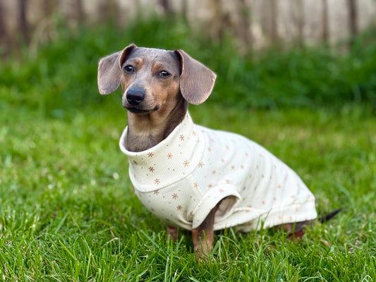 Small Breed Starflower Jersey Tee