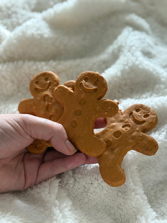 Large Gingerbread Man Biscuit