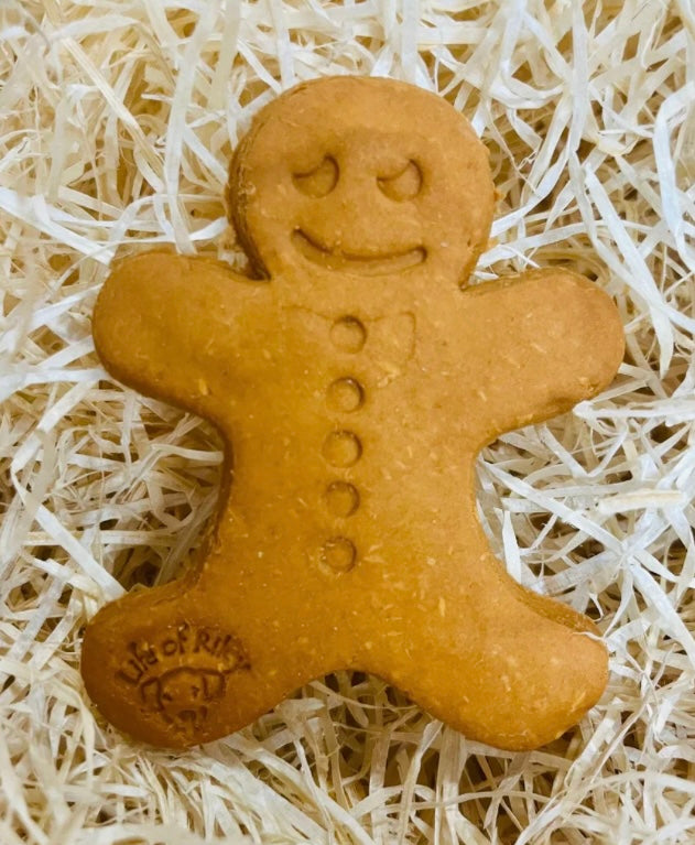Large Gingerbread Man Biscuit