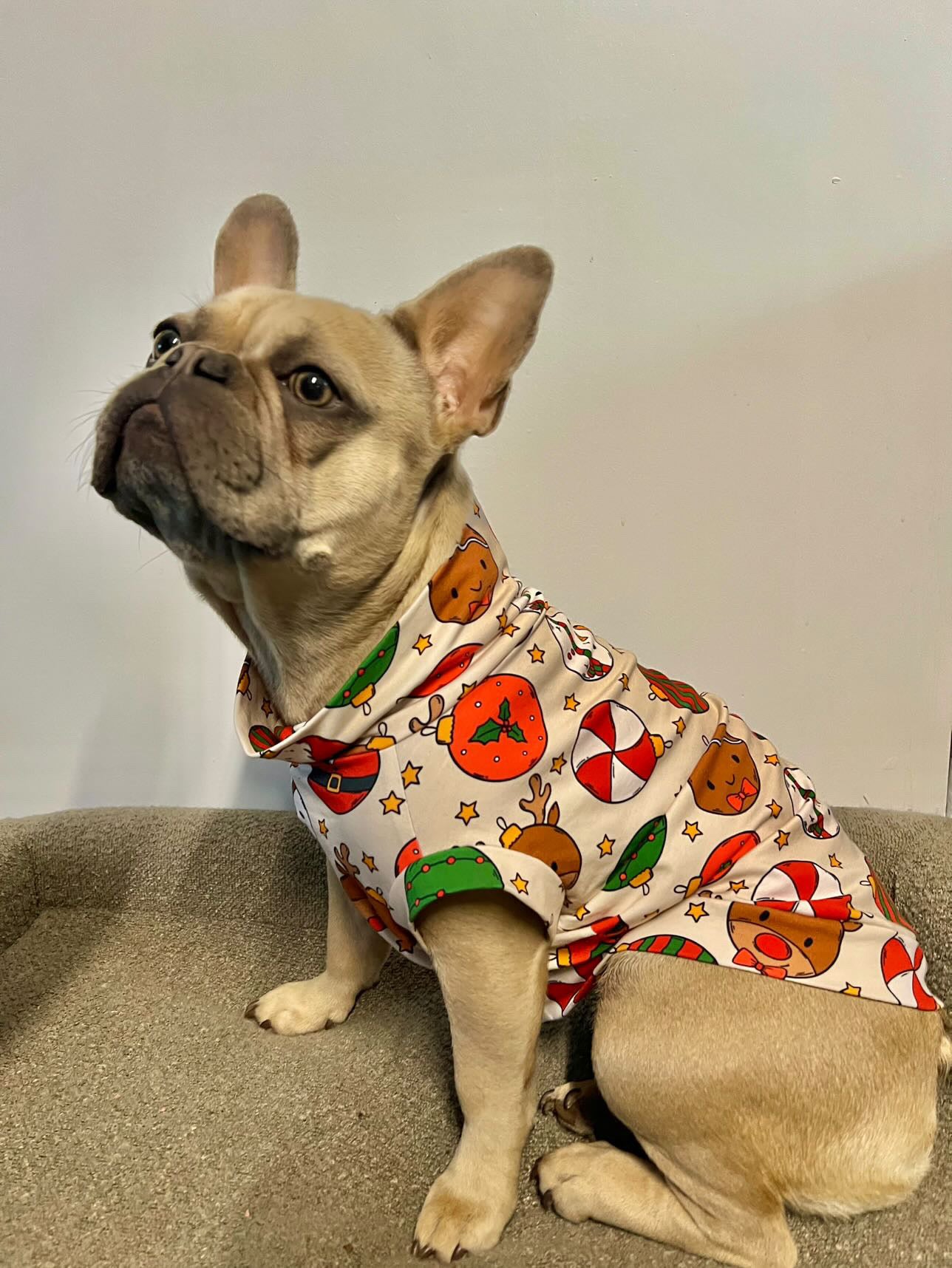 Custom Small Breed Christmas Baubles