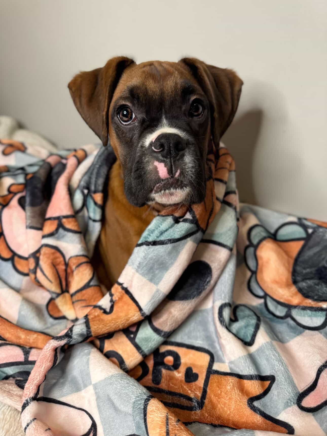 Boops & Blooms Blanket
