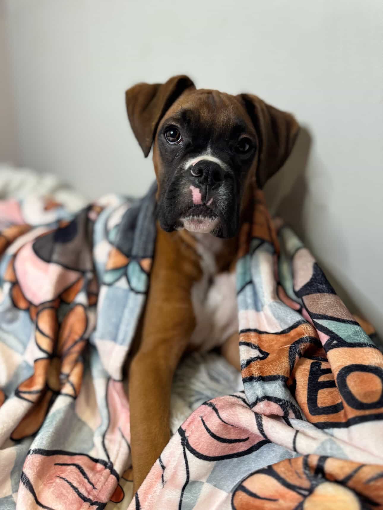 Boops & Blooms Blanket