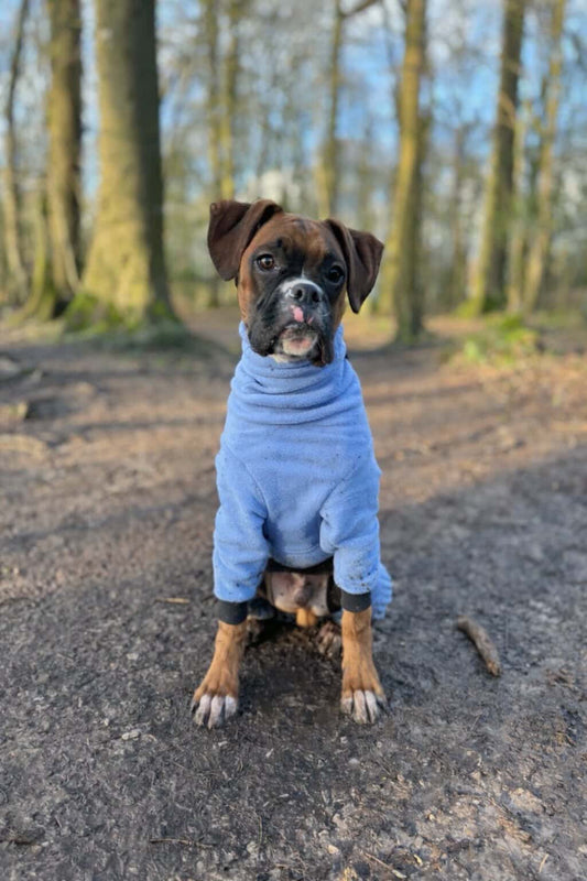 Custom Big Breed Jumpsuit