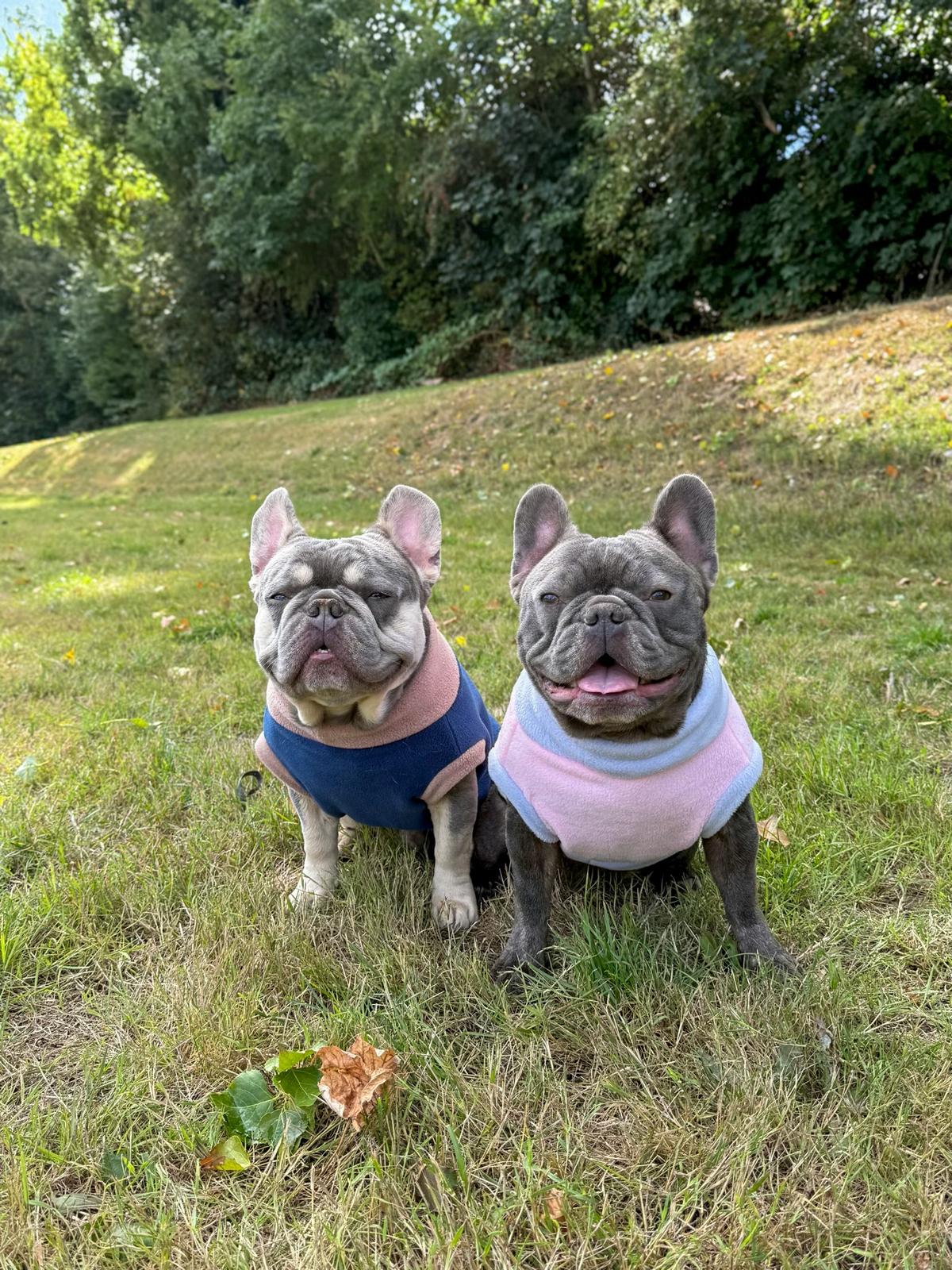 Custom Two Tone Small Breed Fleece