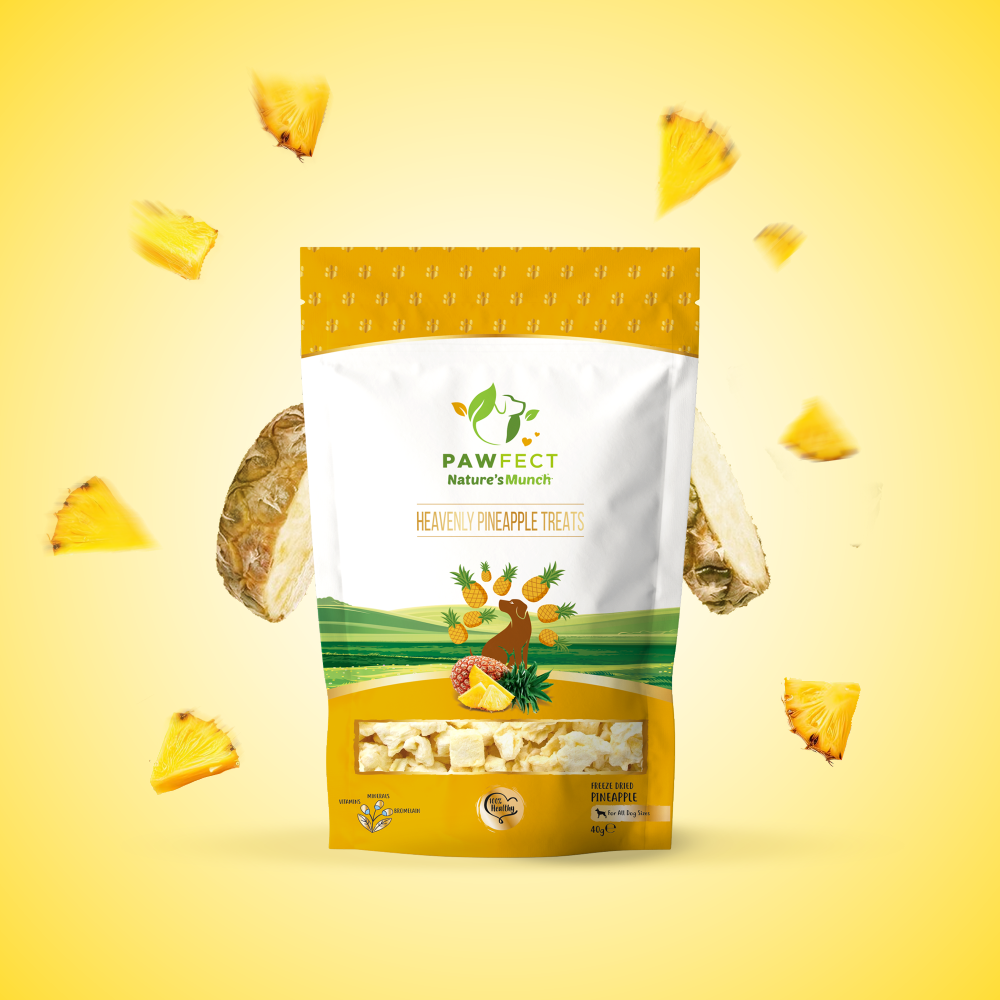 Pawfect Single Ingredient Vegan Treats: Pineapple