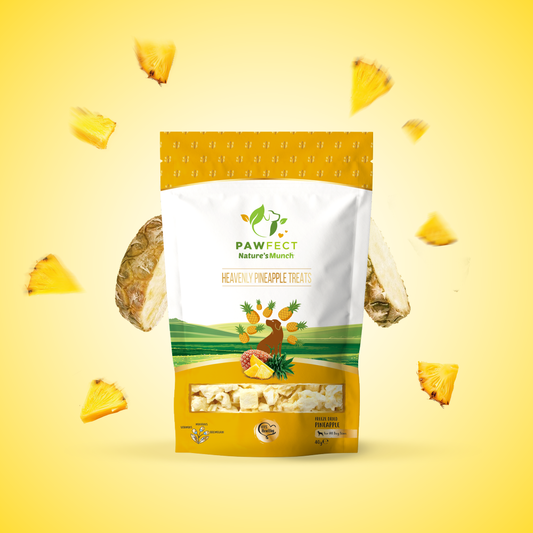 Pawfect Single Ingredient Vegan Treats: Pineapple