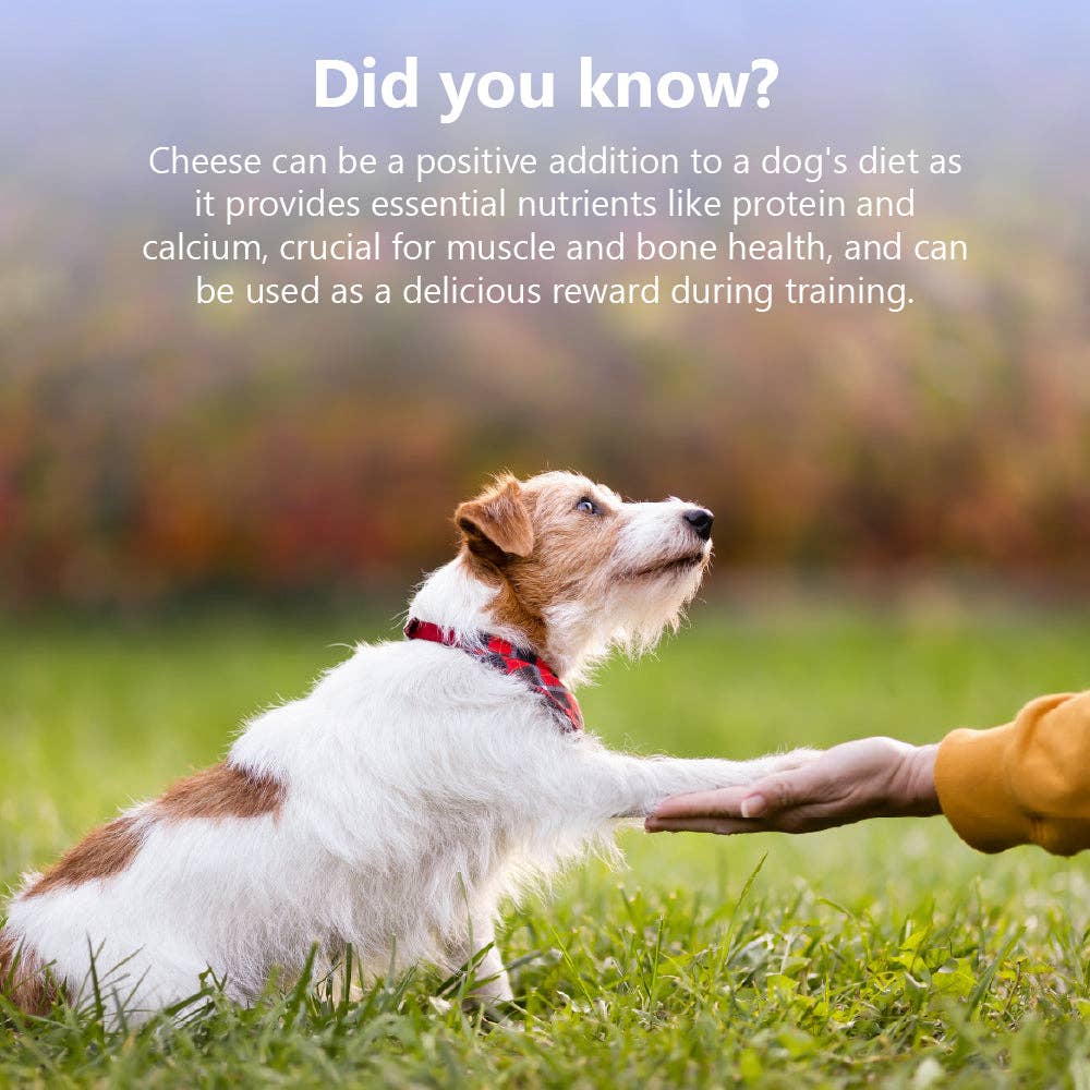 Pawfect Nature's Munch Functional Dog Treats: Daily Chomp