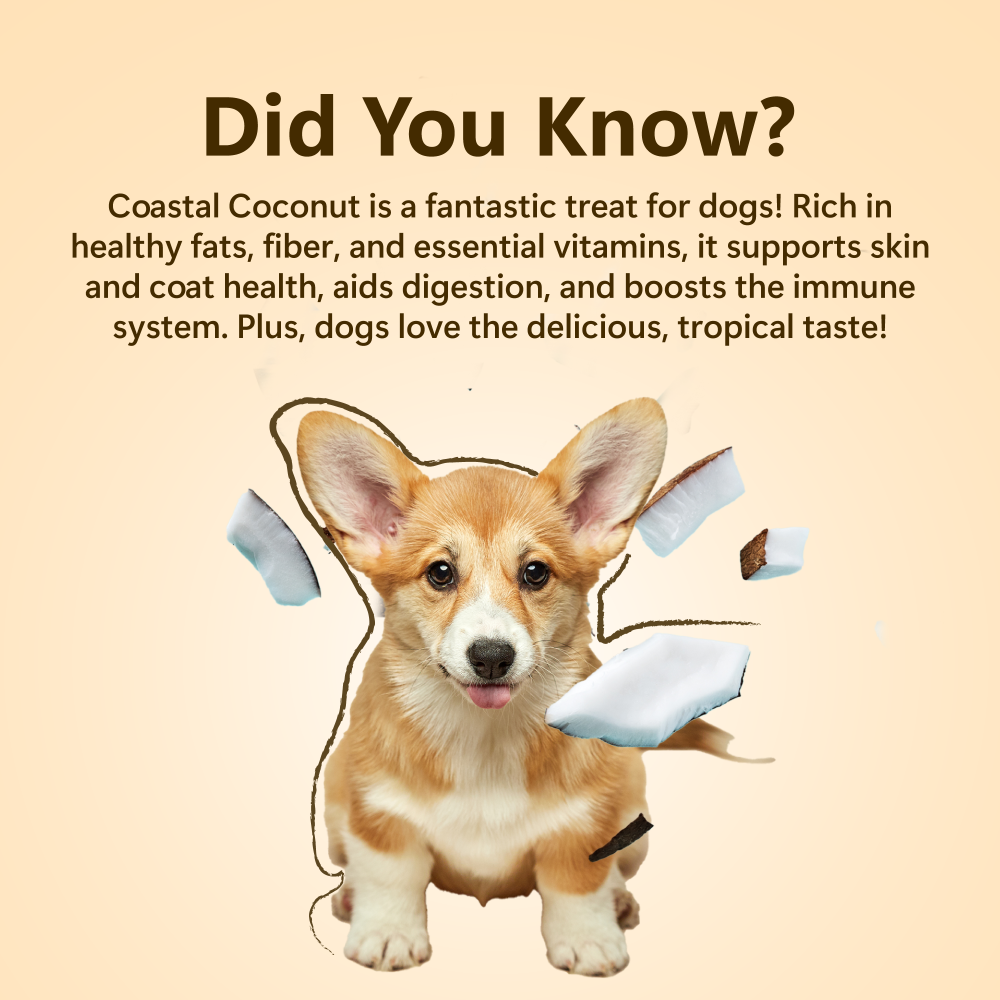 Pawfect Single Ingredient Vegan Treats: Coconut
