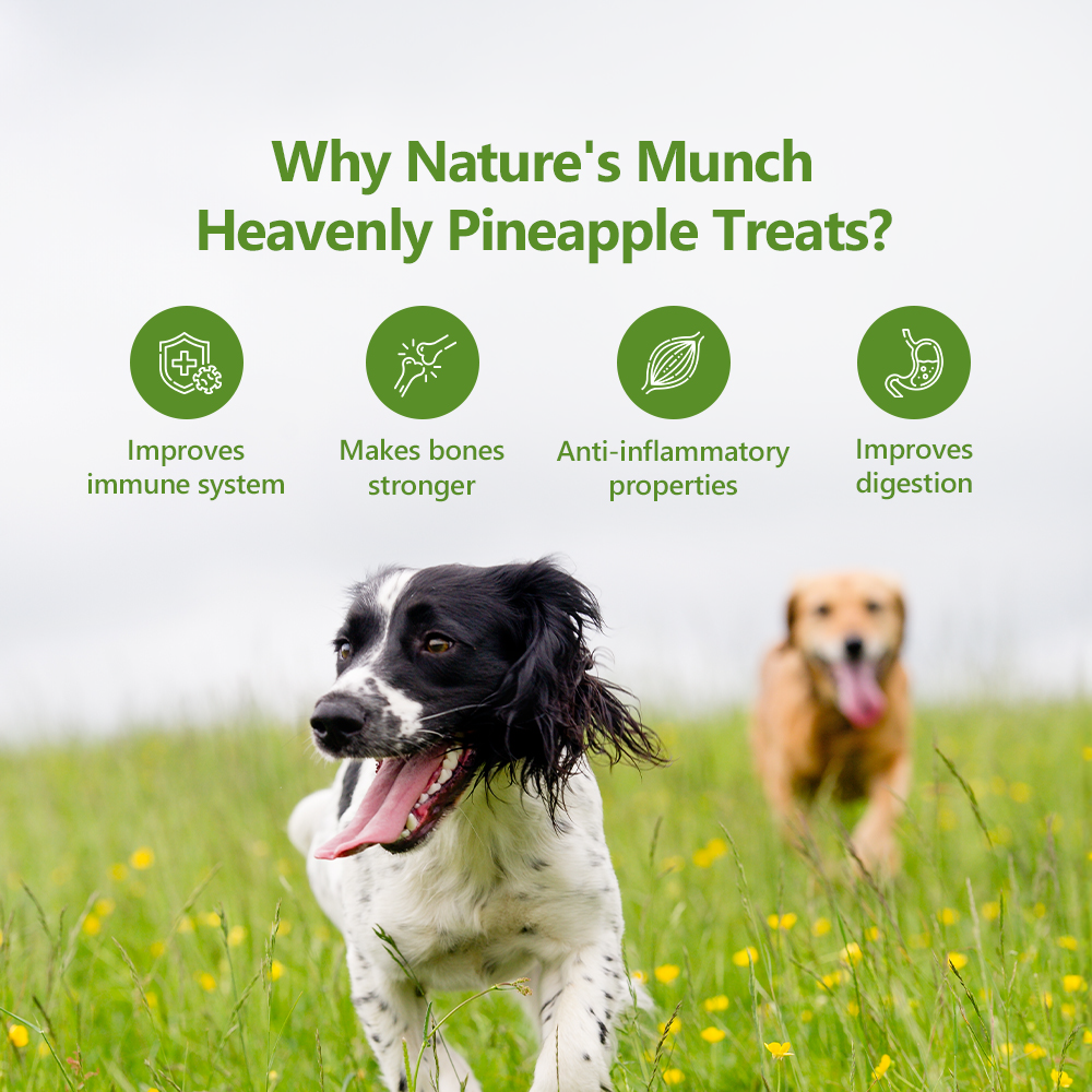Pawfect Single Ingredient Vegan Treats: Pineapple