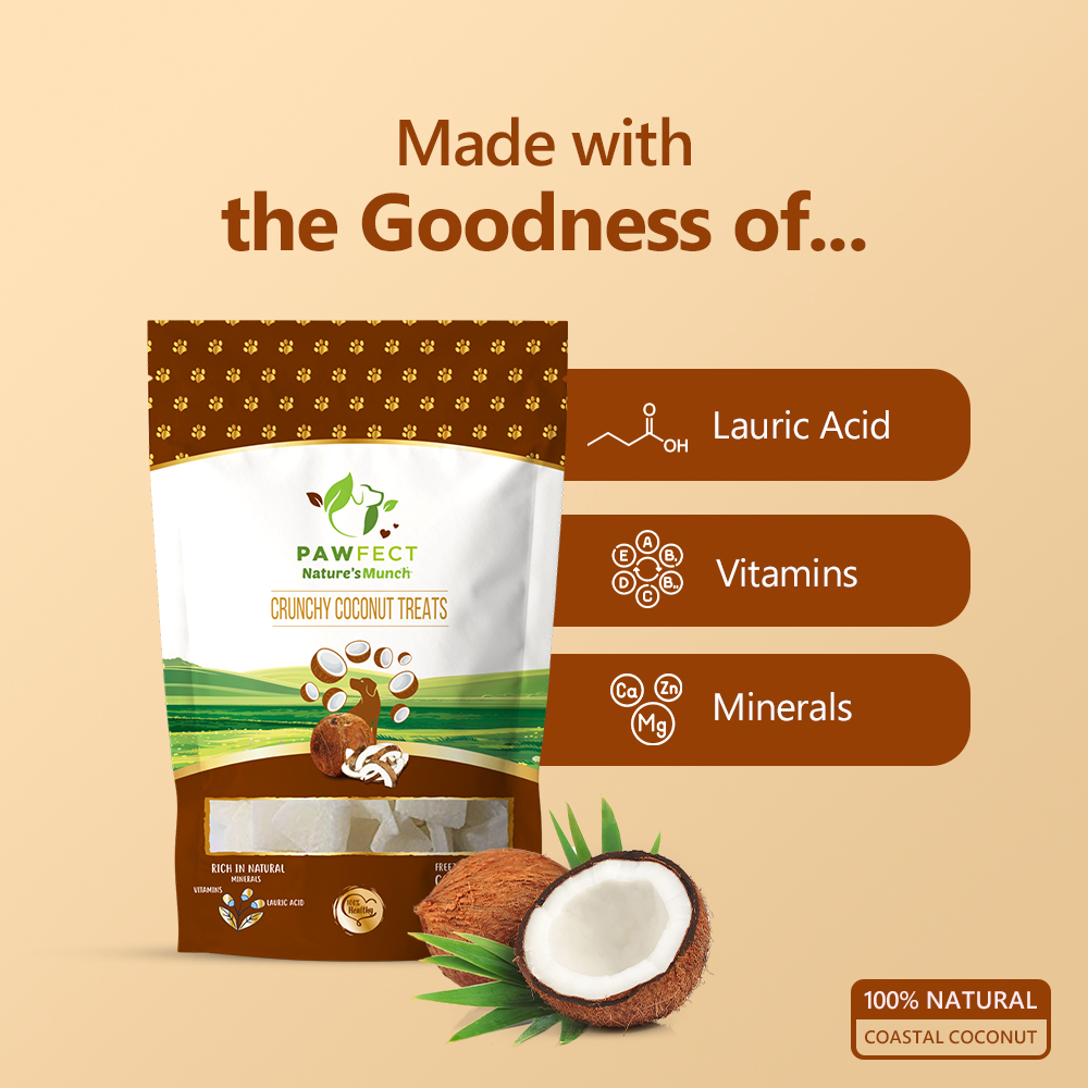 Pawfect Single Ingredient Vegan Treats: Coconut