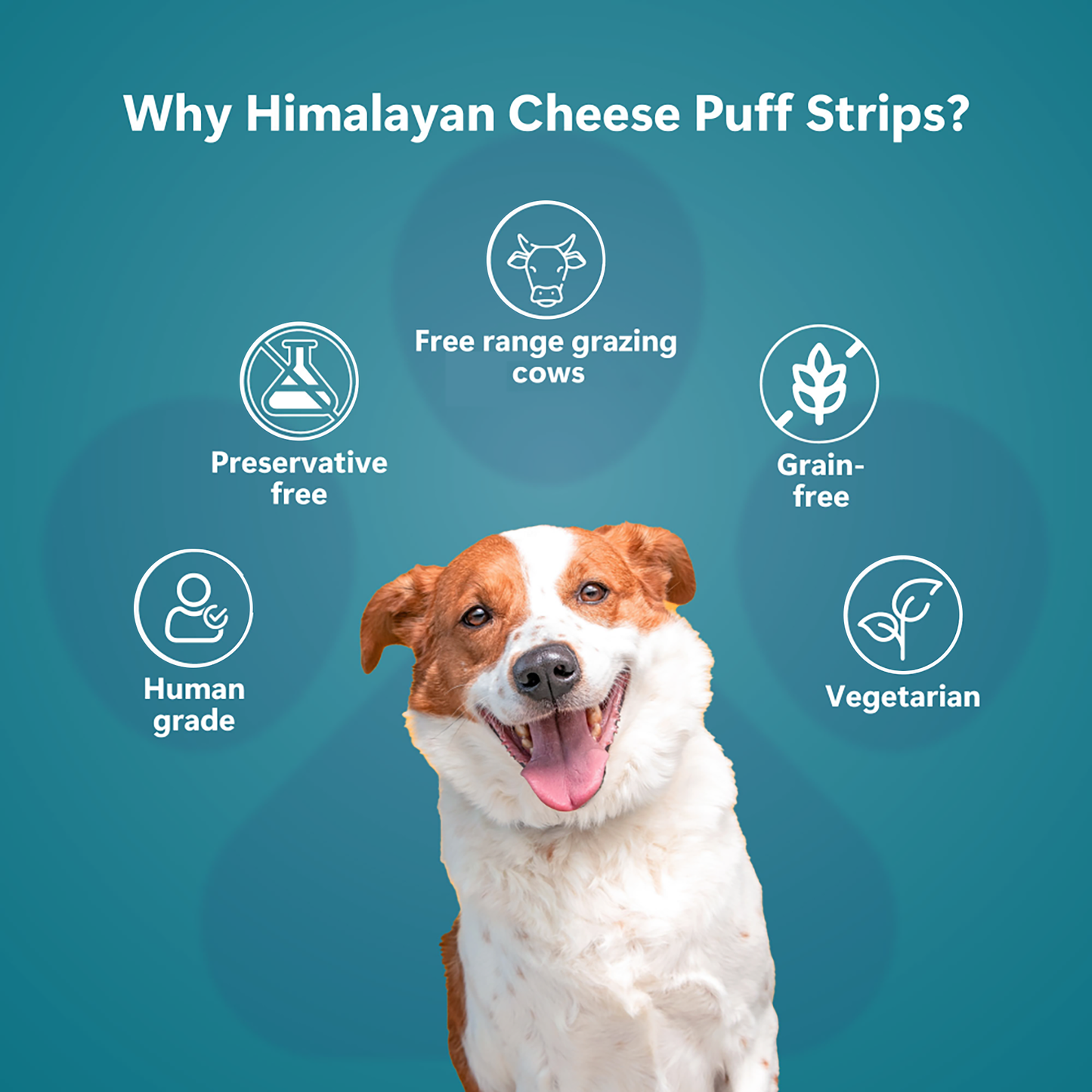 Pawfect Himalayan Cheese Puffed Strip