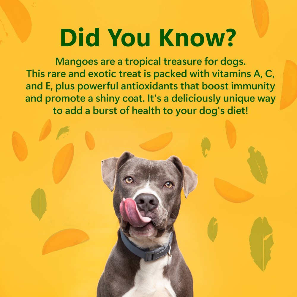 Pawfect Single Ingredient Vegan Treats: Mango